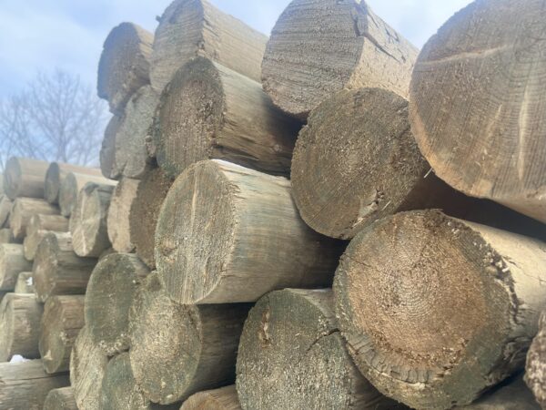 4x4-pine-post-scaled-1.jpg Treated Pine - Posts